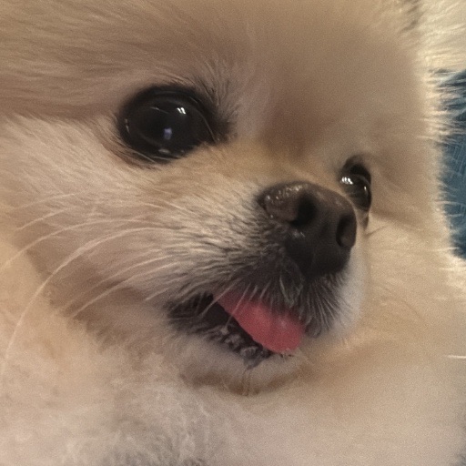 Casper Chan